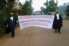 Bamenda: North West lawyers protest against modification of the Penal Code