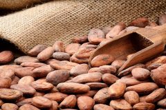 Cameroon seeks to increase Cocoa and Coffee production