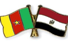 Cameroon-Egypt Joint Committee to hold in Cairo soonest