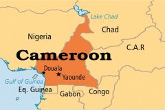 Sell Cameroon and share the money