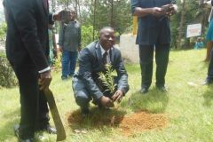 Bamenda: CPDM government ignores cry for dialysis machine, supports reforestation campaign