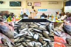 Yaounde: Forum on fishing in the Gulf of Guinea opens