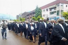 Anglophone Cameroon Lawyers on strike again!!