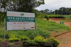 Herakles Farms Affair: Nguti Chiefs have addressed a letter to President Biya