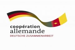 Germany suspends micro project grants to Cameroon