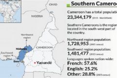 Southern Cameroons: Strike action must continue, Donga-Mantung Fons refuse bribes