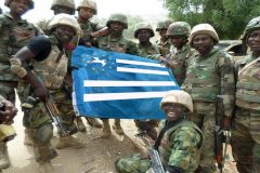 The Anglophone Diaspora: What role in Southern Cameroons development?