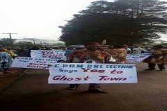 20th May Celebration: Kumbo CPDM militants says yes to ghost town operations