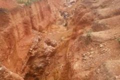 Dozens arrested including 2 Chinese in French Cameroun anti mining raids