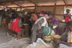 Mobile money transfers give refugees in Cameroon choices of products