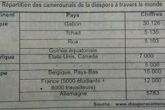 Revealed: 30, 126 Cameroonians living in Gabon