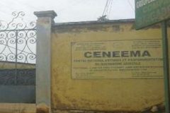 Exposed: The true scale of President Biya’s deal with the General Manager of CENEEMA