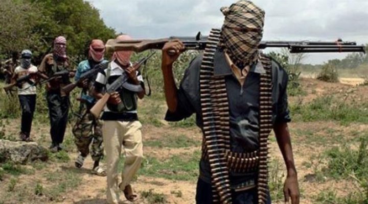 French Cameroun: 4 Boko Haram militants killed in Far North