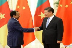 Legal action from Australia may threaten Cameroon-China joint project