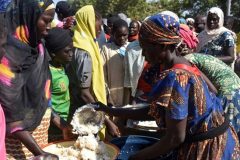 Yaoundé says large-scale Boko Haram attacks leave thousands homeless