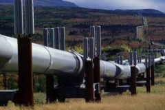 Cameroon-Chad Pipeline: Biya regime generated CFAF12.2 bln in royalties in Jan-Apr 2023