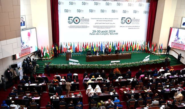 Yaoundé: At OIC’s moot, Pakistan calls for securing immediate ceasefire in Gaza