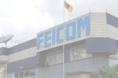 Southern Cameroons Crisis: Feicom cancels 75% of municipal debt