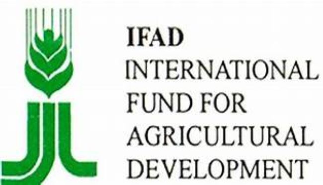 IFAD: Supporting Agriculture in Central and West Africa