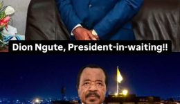 Dion Ngute needs to address the nation as Biya becomes former president