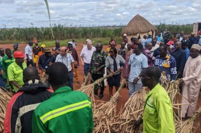 Yaoundé: Governor Bea says sugar plantations destroyed amid workers’ strike